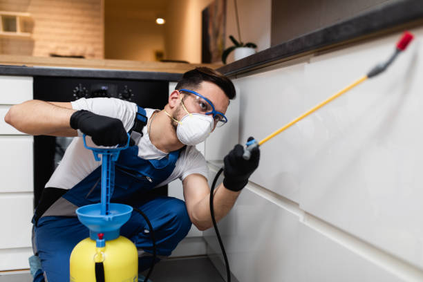 Best Affordable Pest Control Services  in Lansdowne, VA