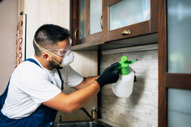 Best Flea Control Services  in Lansdowne, VA