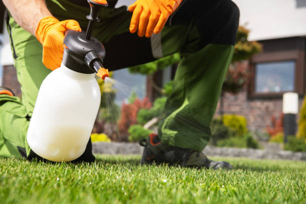 Flea Control Services in Lansdowne, VA