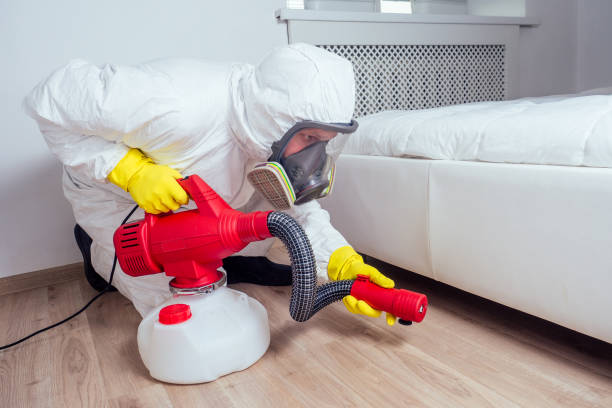 Best Local Pest Control Services  in Lansdowne, VA