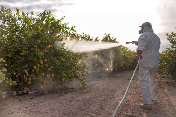 Best Pest Removal Services  in Lansdowne, VA