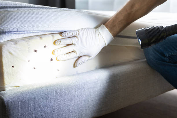 Best Best Pest Control Companies  in Lansdowne, VA